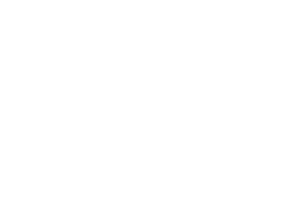 Estrella Damm